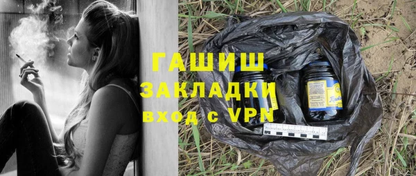 дживик Туринск