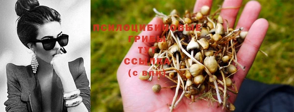 тгк Медногорск