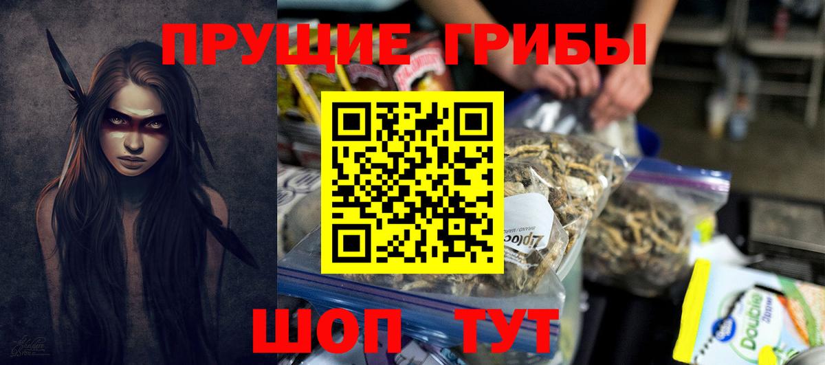 Псилоцибиновые грибы MAGIC MUSHROOMS  Вход с VPN  Галлюциногенные грибы Cubensis  Санкт-Петербург 