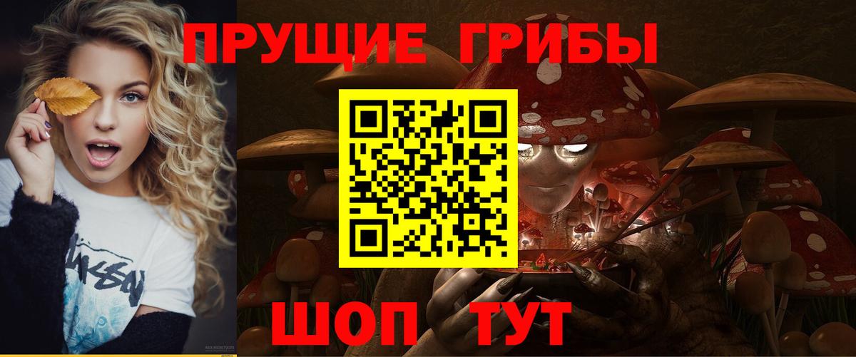Галлюциногенные грибы Cubensis Санкт-Петербург